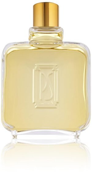 Paul Sebastian Cologne for Men, 8.0 Fluid Ounce SPLASH