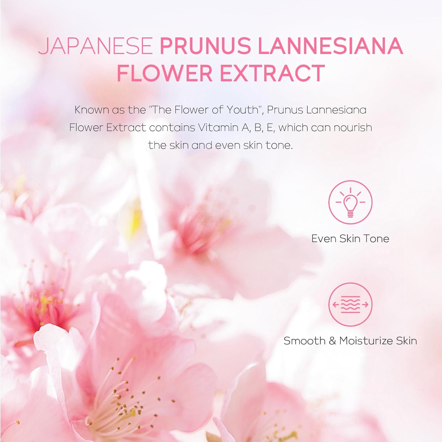 Skin Care Set, Skin Care Routine Kit for Women, Teen Face Care Kit Girls, Skincare Gift Set with Cleanser, Toner, Serum, Eye Cream, Face Cream 5pcs Mother's Day Christmas Birthday Daughter Wife - Image 3