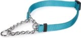 Guardian Gear Adjustable Martingale Choke-Style Dog Collar