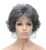 Kalyss 10″ Short Curly Wavy Wig with Bangs for Women Premium Heat Resistant Synthetic Hair Wig (Gray)